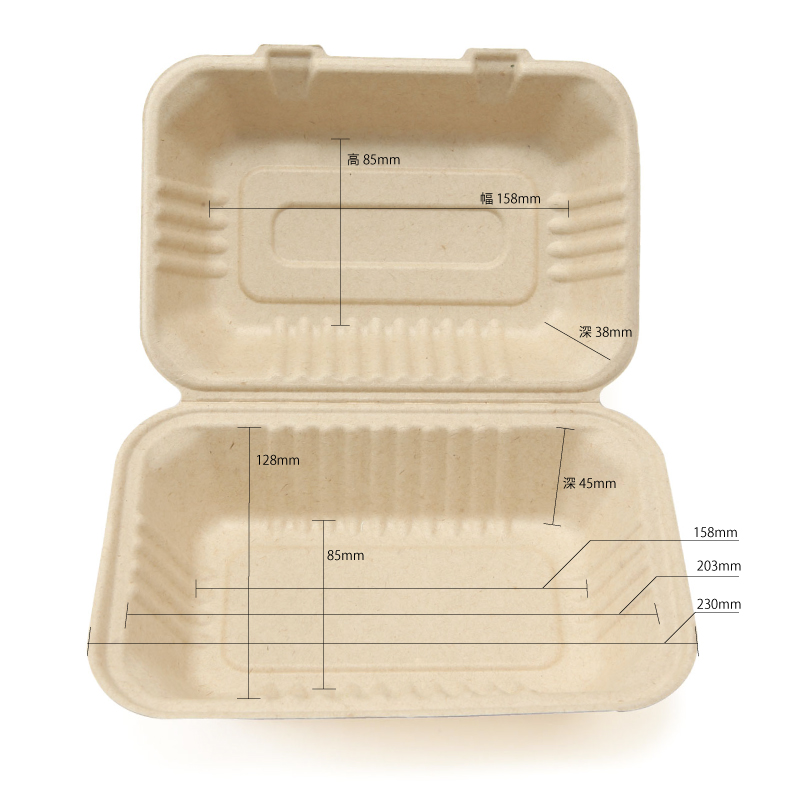 バガス容器 ECO容器 リサイクル容器 業務用 サトウキビ製 使い捨て容器 エコフード容器 未晒し