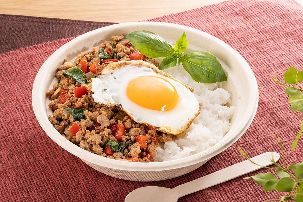 バガス容器 ECO容器 リサイクル容器 業務用 サトウキビ製 使い捨て容器 エコフード容器